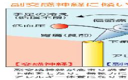 自律神経乱れていませんか？