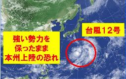 台風